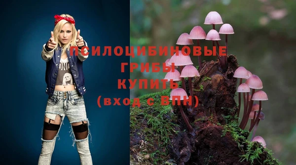 PSILOCYBIN Зеленокумск