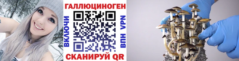 Галлюциногенные грибы прущие грибы  Купить  Люберцы 